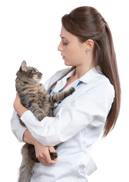 Κτηνίατρος Μια Γάτα Στην Αγκαλιά Της — Φωτογραφία Αρχείου
