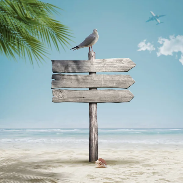 Seagull Old Wooden Signpost Beach Happy Summer Holiday Concept — Stock Photo, Image