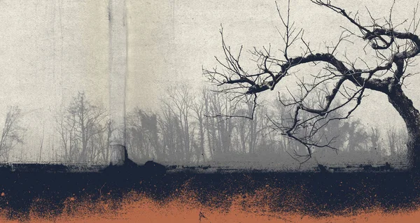 Trockener Toter Baum Und Gruseliger Wald Nebel Horror Vintage Hintergrundposter — Stockfoto