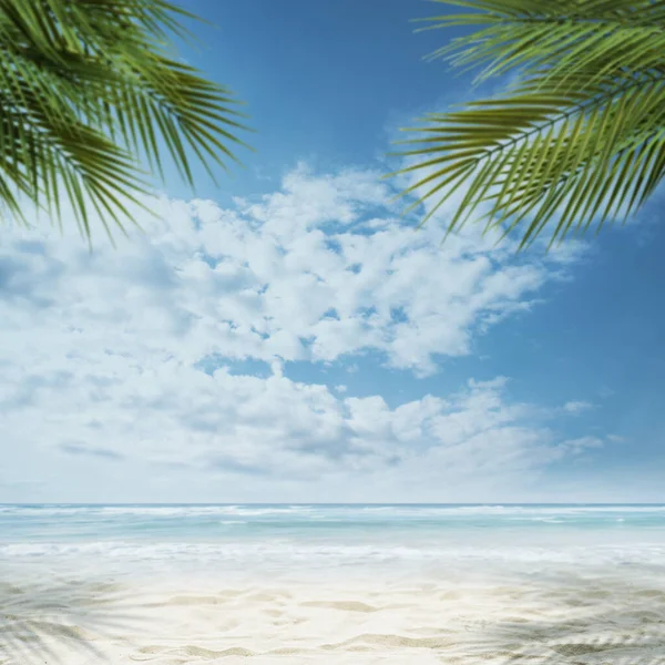 Sunny Τροπική Παραλία Φόντο Φοίνικες Άμμο Και Κύματα Του Ωκεανού — Φωτογραφία Αρχείου