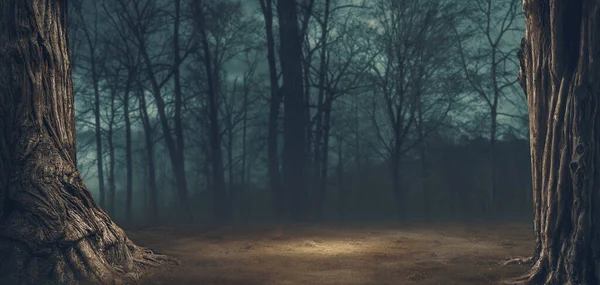 Страшный Лес Большими Деревьями Туманом Ужас Хэллоуин Фон — стоковое фото