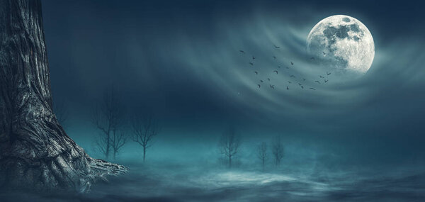 Scary night scene with trees lit by the full moon in the sky: horror and fantasy background