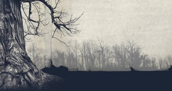 Dry Dead Tree Spooky Forest Fog Horror Vintage Background Poster — Stock Photo, Image