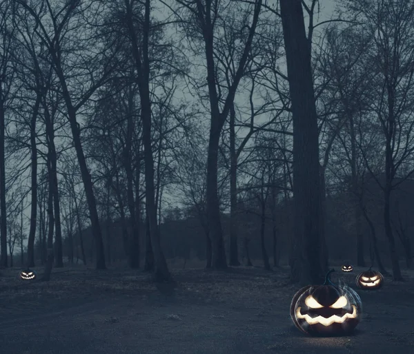 Жуткие Хэллоуинские Тыквы Темном Лесу Ночью Ужас Загадочный Фон — стоковое фото