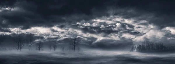 Rædsel Baggrund Mørk Nattehimmel Med Skyer Tåge Tørre Træer - Stock-foto