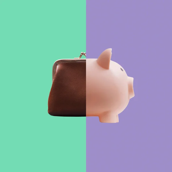 Vintage purse and piggy bank joined together: savings and investments concept
