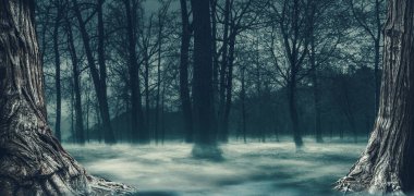 Büyük ağaçları ve sisi olan korkunç orman: korku ve cadılar bayramı geçmişi