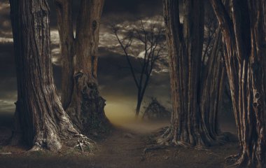 Büyük ağaçları ve sisi olan korkunç orman: korku arka planı