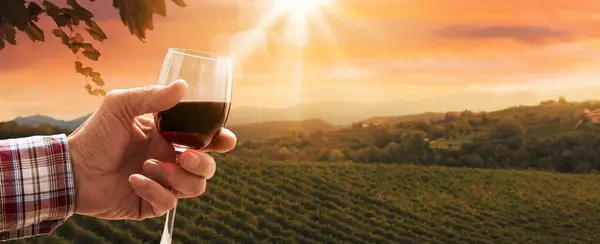 シニアエキスパートのワインメーカーが赤ワインのグラスを飲み バックグラウンドのブドウ園の景色 コピースペース — ストック写真