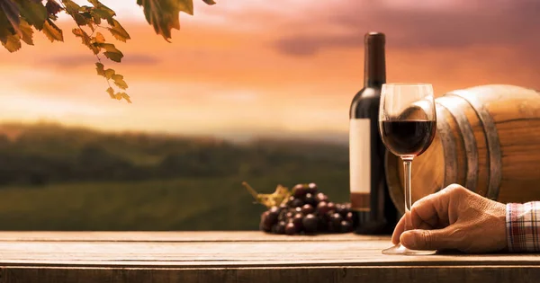 Senior Expert Winemaker Drinking Glass Red Wine View Vineyard Background — Stock Photo, Image