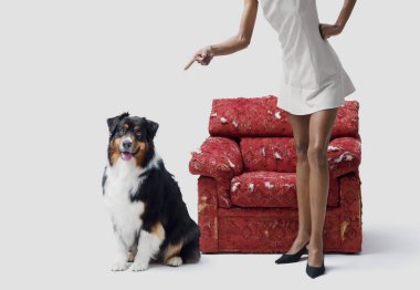 Yaramaz köpeğini azarlayan bir kadın, arka planda yırtık bir koltuk.