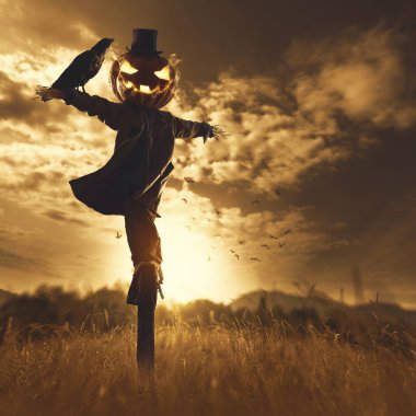 Günbatımında tarlada balkabağı kafalı ürkütücü Cadılar Bayramı korkuluğu, korku ve fantezi konsepti