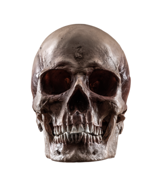 Geçerli arkaplanda insan kafatası