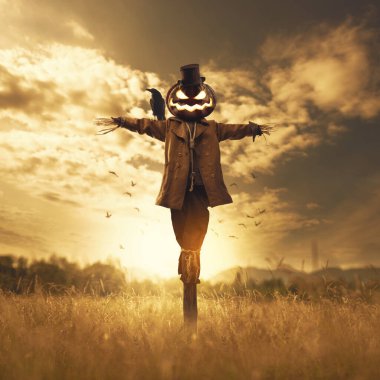 Günbatımında tarlada balkabağı kafalı ürkütücü Cadılar Bayramı korkuluğu, korku ve fantezi konsepti