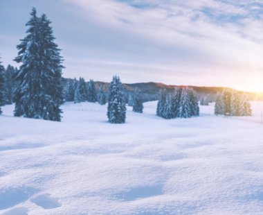 Şafakta taze kar yağan kış sahnesi: seyahat, doğa ve Noel tatili geçmişi