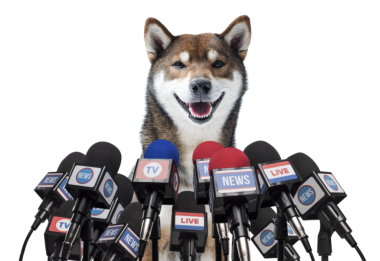 Basın konferansında mikrofonlara konuşan neşeli köpek.