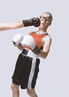 Gözlüklü komik inek bir boks maçında suratına yumruk yiyor.