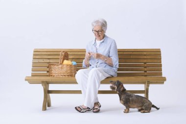 Gülümseyen ve mutlu yaşlı bir kadın köpeği bankta oturmuş örgü örüyor. 