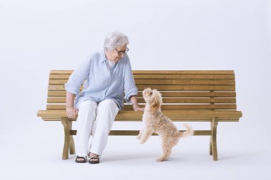 Gülümseyen ve mutlu yaşlı kadın bir bankta oturmuş köpeğiyle oynuyor..