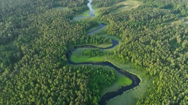 Беспилотный Снимок Естественной Реки Лесу — стоковое видео