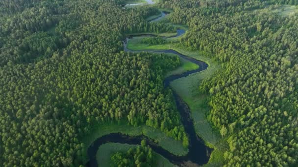 Drone Antenn Skott Naturliga Floden — Stockvideo