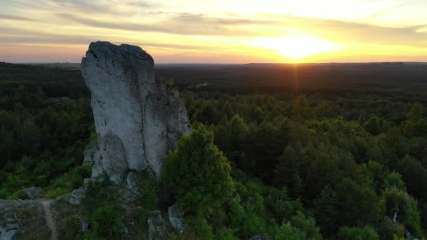 Luftaufnahme Vom Morgen Über Wald Und Kalksteinfelsen — Stockvideo