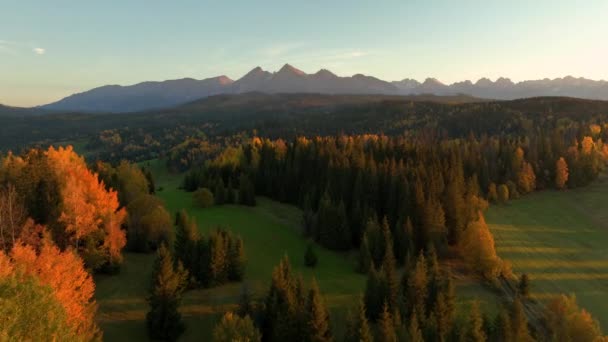 Piękny Widok Jesiennego Krajobrazu Tatrach — Wideo stockowe