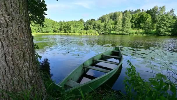 Piękny Letni Krajobraz Zieloną Łodzią Jeziorem — Wideo stockowe