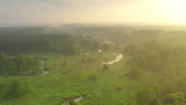 Drohnenaufnahme Des Natürlichen Flusses Bei Sonnenaufgang — Stockvideo