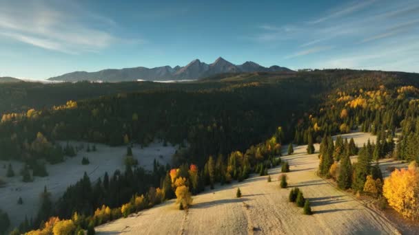 Piękny Widok Jesiennego Krajobrazu Tatrach — Wideo stockowe