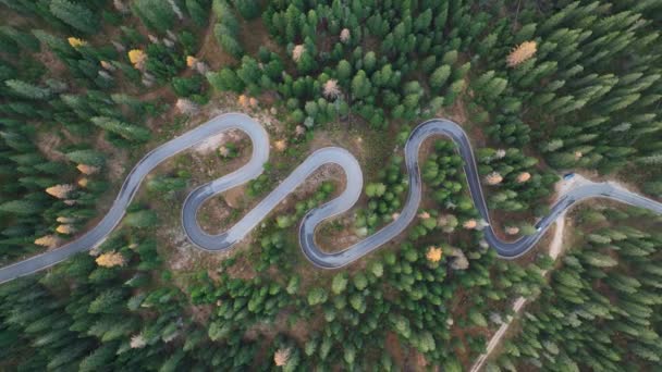 Carretera Sinuosa Entre Bosque Verde Vista Aérea Drones — Vídeos de Stock