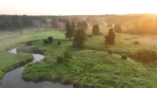 Bela Manhã Primavera Sobre Floresta Rio Visão Aérea Drone — Vídeo de Stock