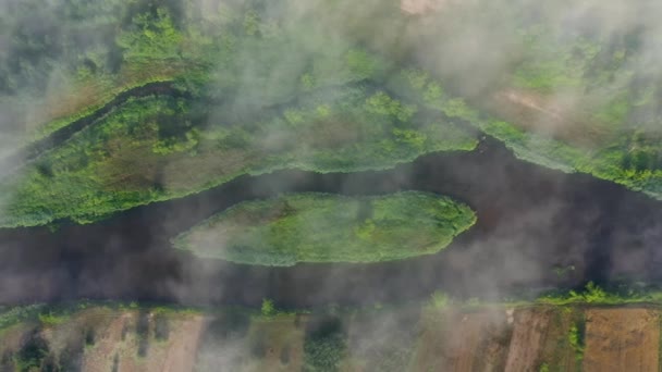 川を渡る美しい霧の朝 ドローン空中ビュー — ストック動画