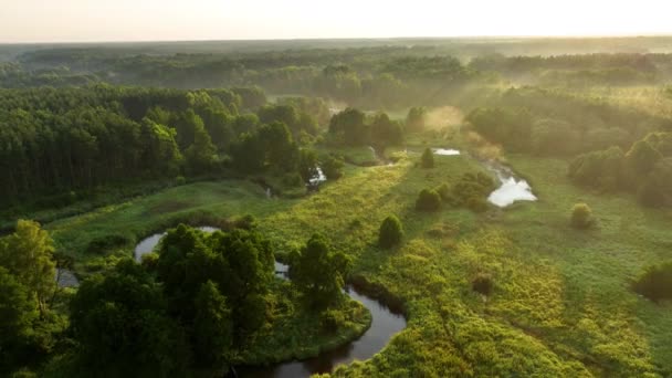美丽的春天早晨 在森林和河流上俯瞰着天空 — 图库视频影像