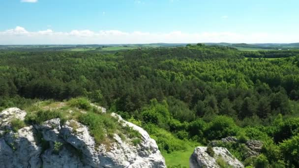 波兰Jura Krakowsko Czestochowska上的石灰岩 Okiennik Wielki岩石 图库视频片段