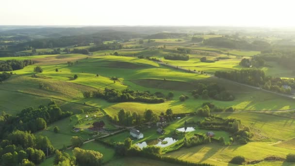 緑のフィールドと丘のある空中風景 ロイヤリティフリーストック映像