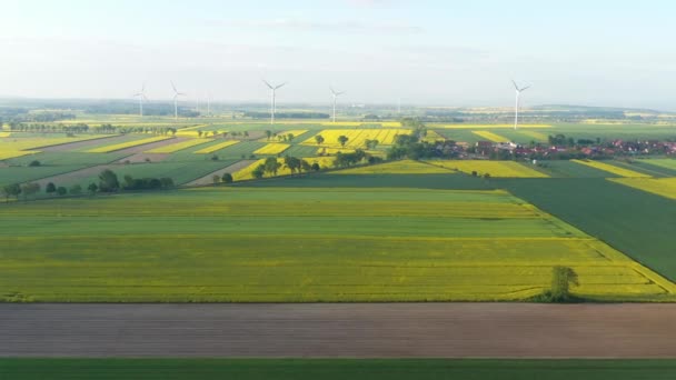 油菜田里的风力涡轮机 — 图库视频影像