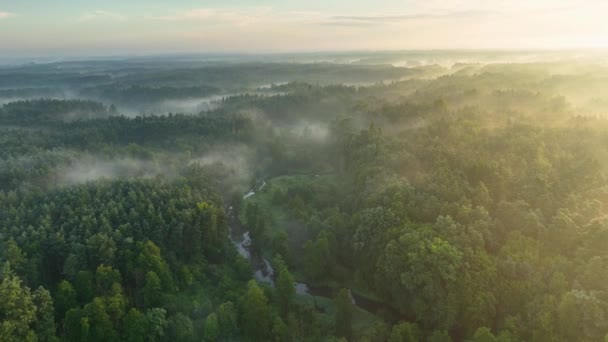 Ομιχλώδης Πρωί Πάνω Από Ποτάμι Και Δάσος Εναέρια Πλάνα — Αρχείο Βίντεο