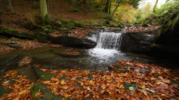 秋の森の小さな滝 動画クリップ