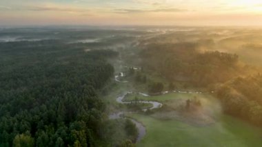Orman ve nehir üzerinde güzel bir sabah - insansız hava aracı manzarası