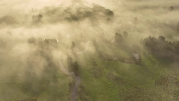 森と川の美しい朝 ドローン空中ビュー ストック動画