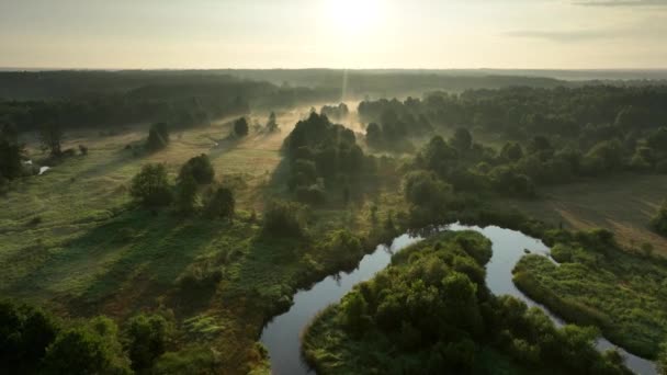 森と川の美しい朝 ドローン空中ビュー 動画クリップ
