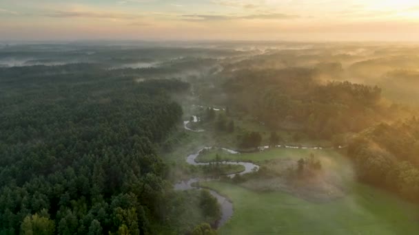 森と川の美しい朝 ドローン空中ビュー — ストック動画