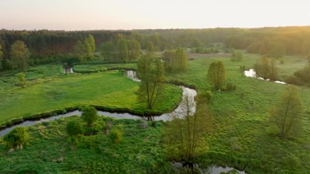 美丽的早晨俯瞰着森林 俯瞰着河流 — 图库视频影像