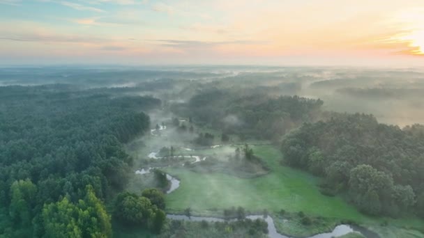 森と川の美しい朝 ドローン空中ビュー ロイヤリティフリーのストック動画