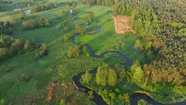Orman Nehir Üzerinde Güzel Bir Sabah Insansız Hava Aracı Manzarası — Stok video