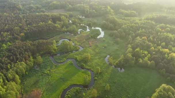 Belle Matinée Printemps Sur Forêt Rivière Vue Aérienne Drone Vidéo De Stock