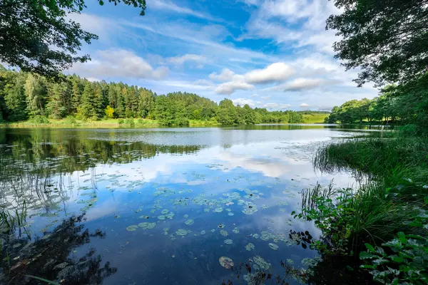 Beautiful Summer Day Lake — Stock Photo, Image