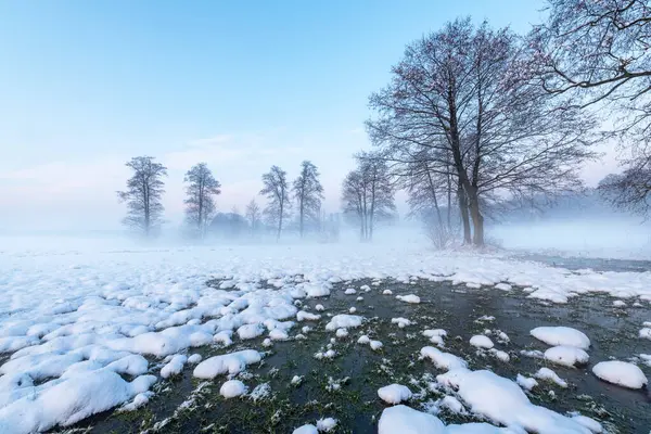 Schöner Wintertag Mit Bäumen Die Mit Raureif Bedeckt Sind — Stockfoto