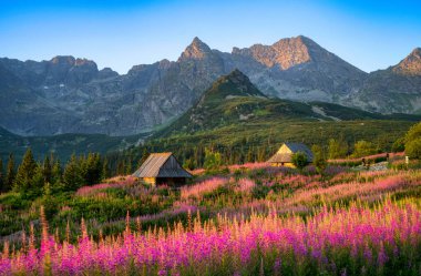 Güzel bir yaz sabahı dağlarda - Polonya 'da Hala Gasienicowa - Tatras